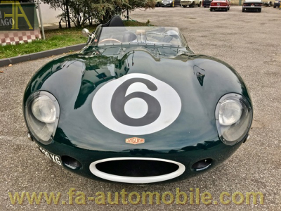 Jaguar D Type 販売 fa-automobile.com